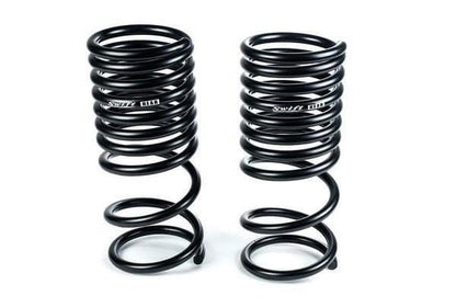 Swift Spec-R Lowering Springs - 2014-2018 BMW F8X